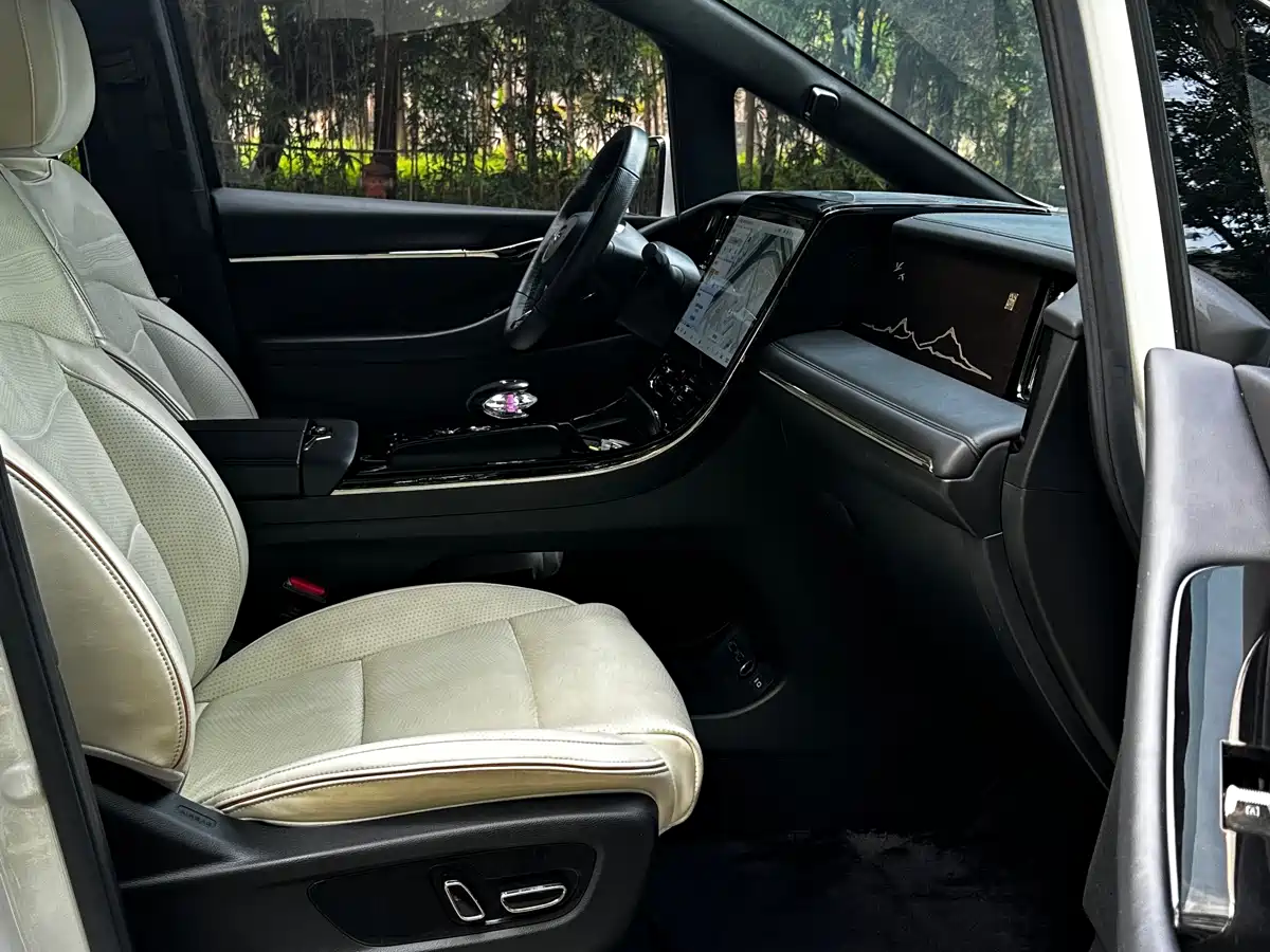 GAC Trumpchi Trumpchi M8 2023 Model Master Series Hybrid Royal Edition фото 13