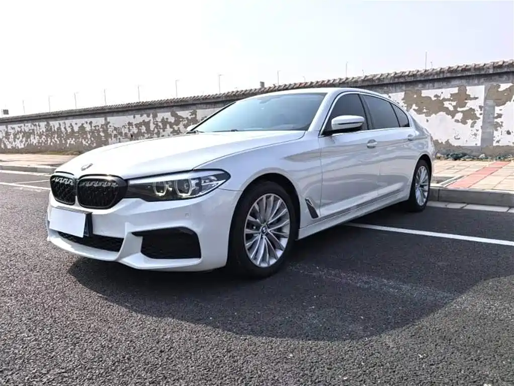 BMW 5 Series 2019 530Li Premium Luxury Package