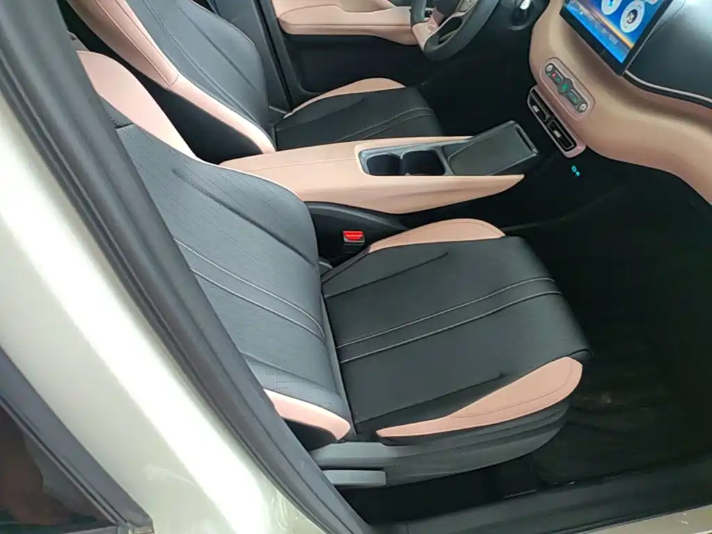 BYD Seagull 2026 2025 Smart Drive Edition 305km Vitality Version