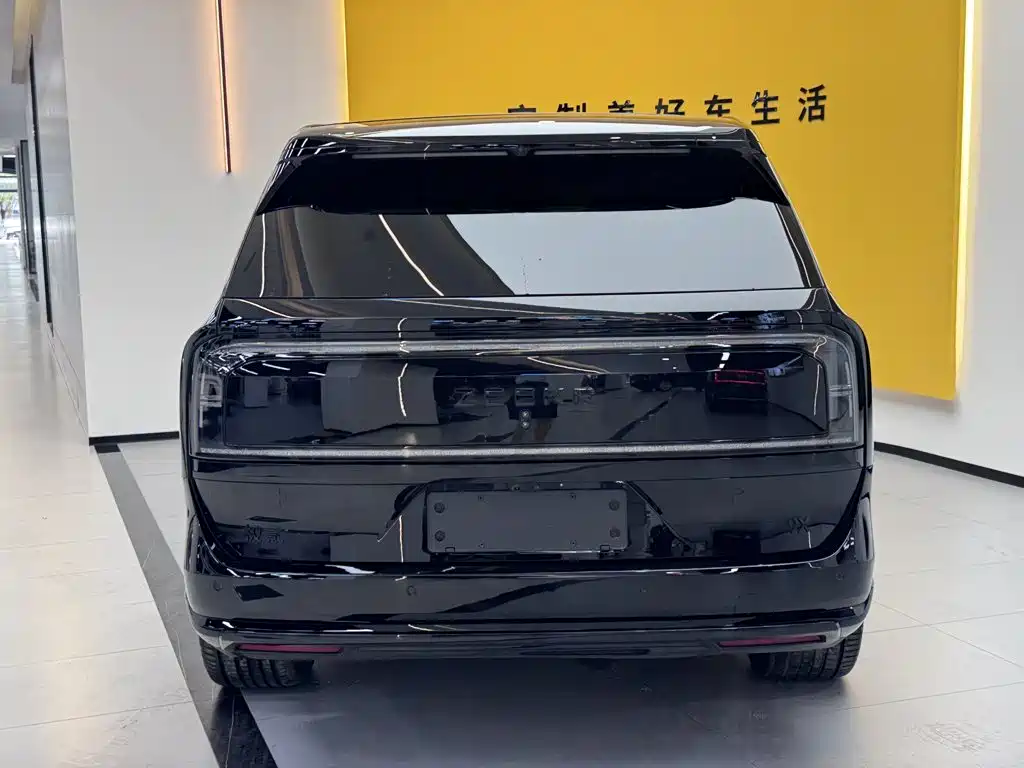 ZEEKR 9X 2026 2025 Model Standard
