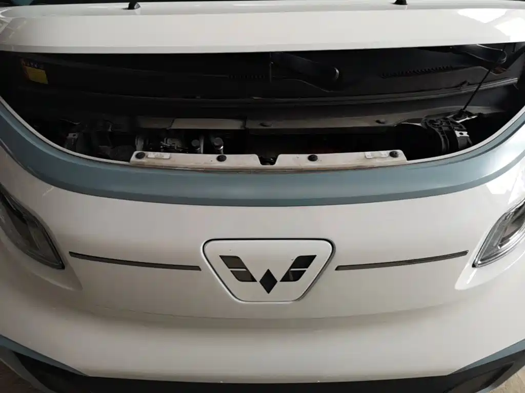 Wuling Motors Wuling NanoEV 2021 2021 Fun Edition