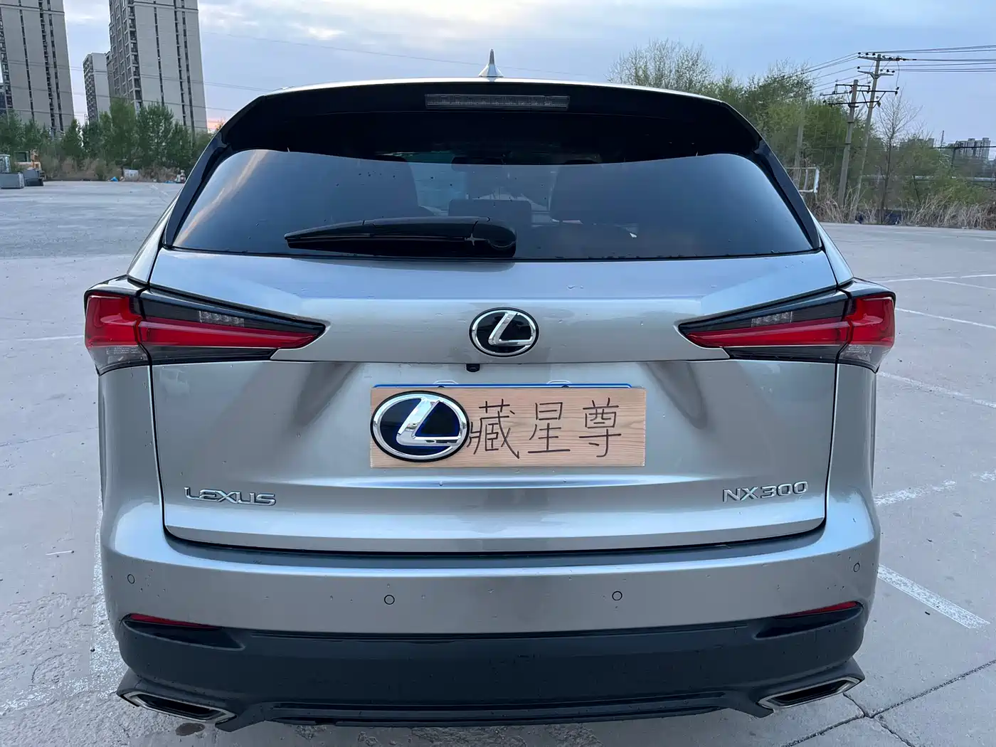 Lexus NX 2018 Model 300 FWD Fengxing Edition фото 23