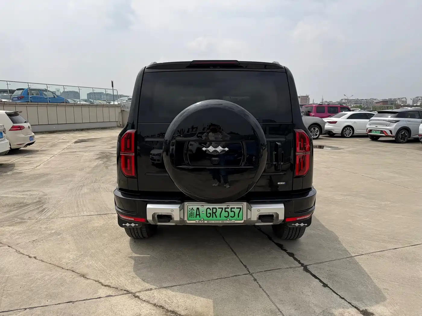 FANG CHENG BAO LEOPARD 5