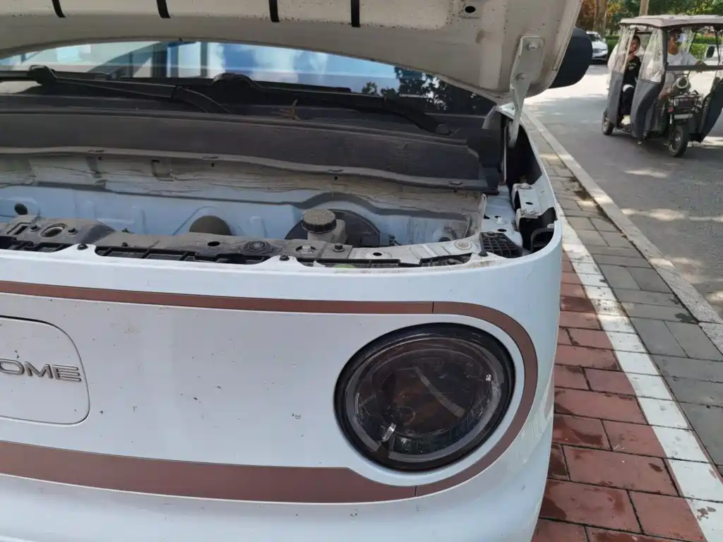 Geely Galaxy Panda 2023 2023 Panda Mini 200km Endurance Bear