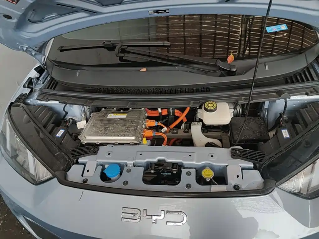 BYD Seagull 2026 2025 Smart Drive Edition 305km Vitality Version