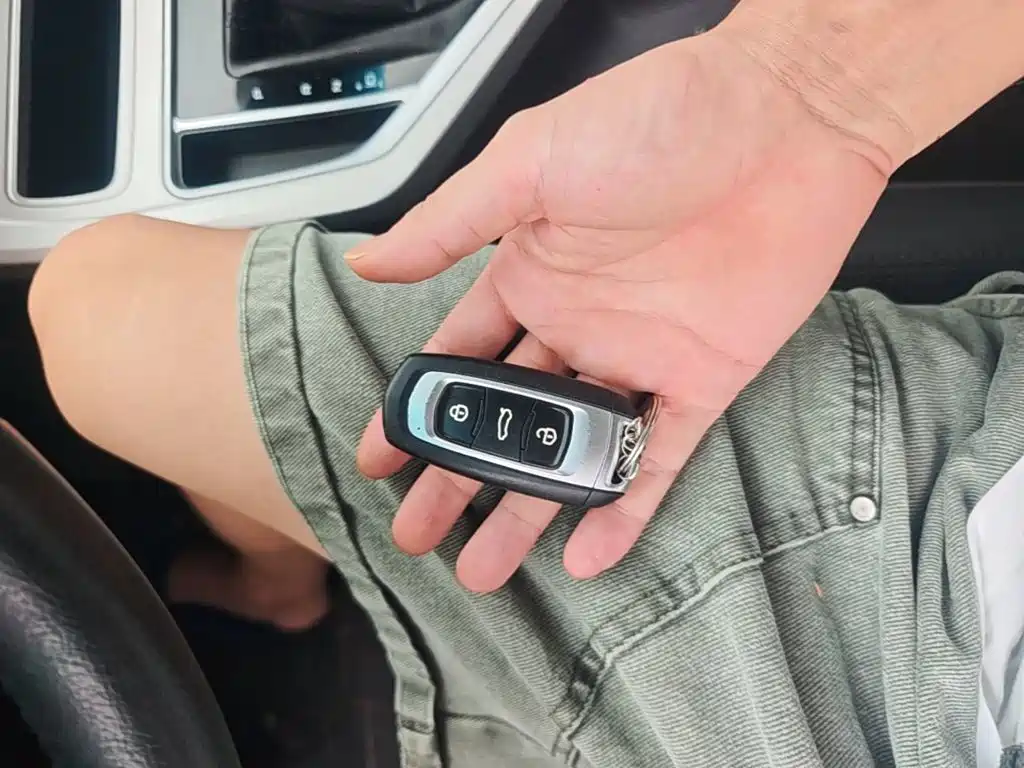 Фото 9 - Geely Vision