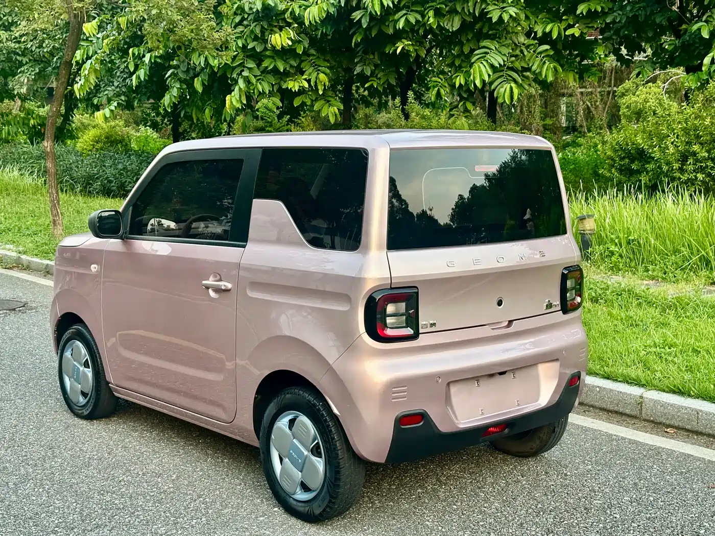 Geely Galaxy Panda 2023 2023 Panda Mini 200km Endurance Bear