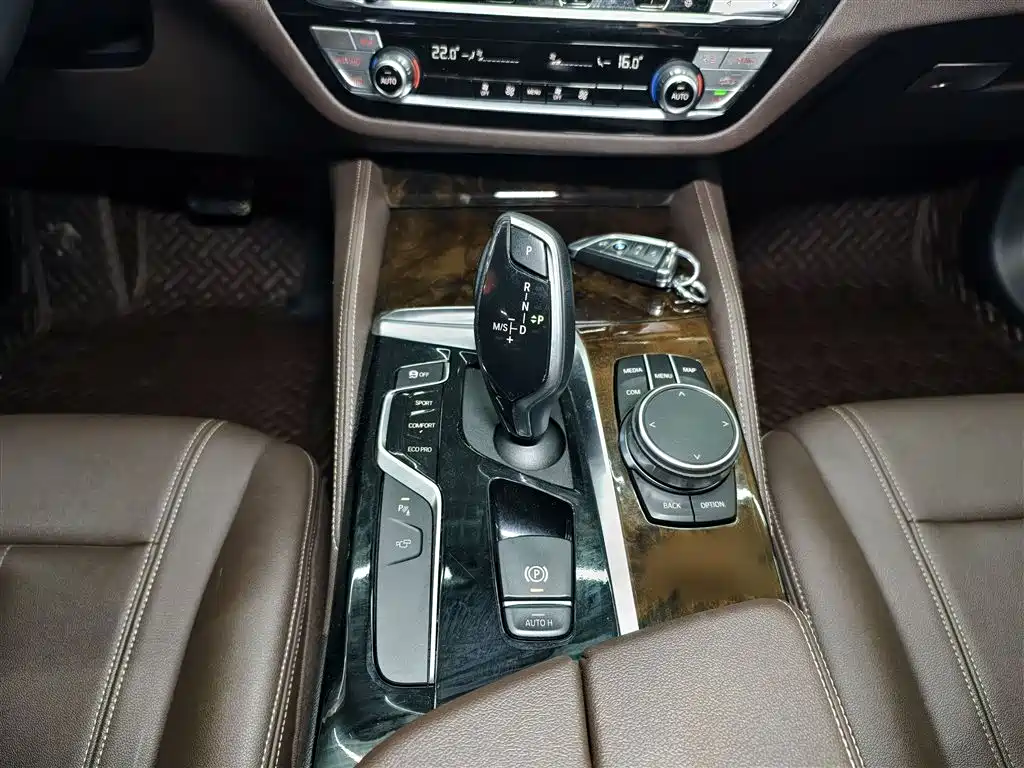 BMW 5 Series 2020 525Li Luxury Package фото 7