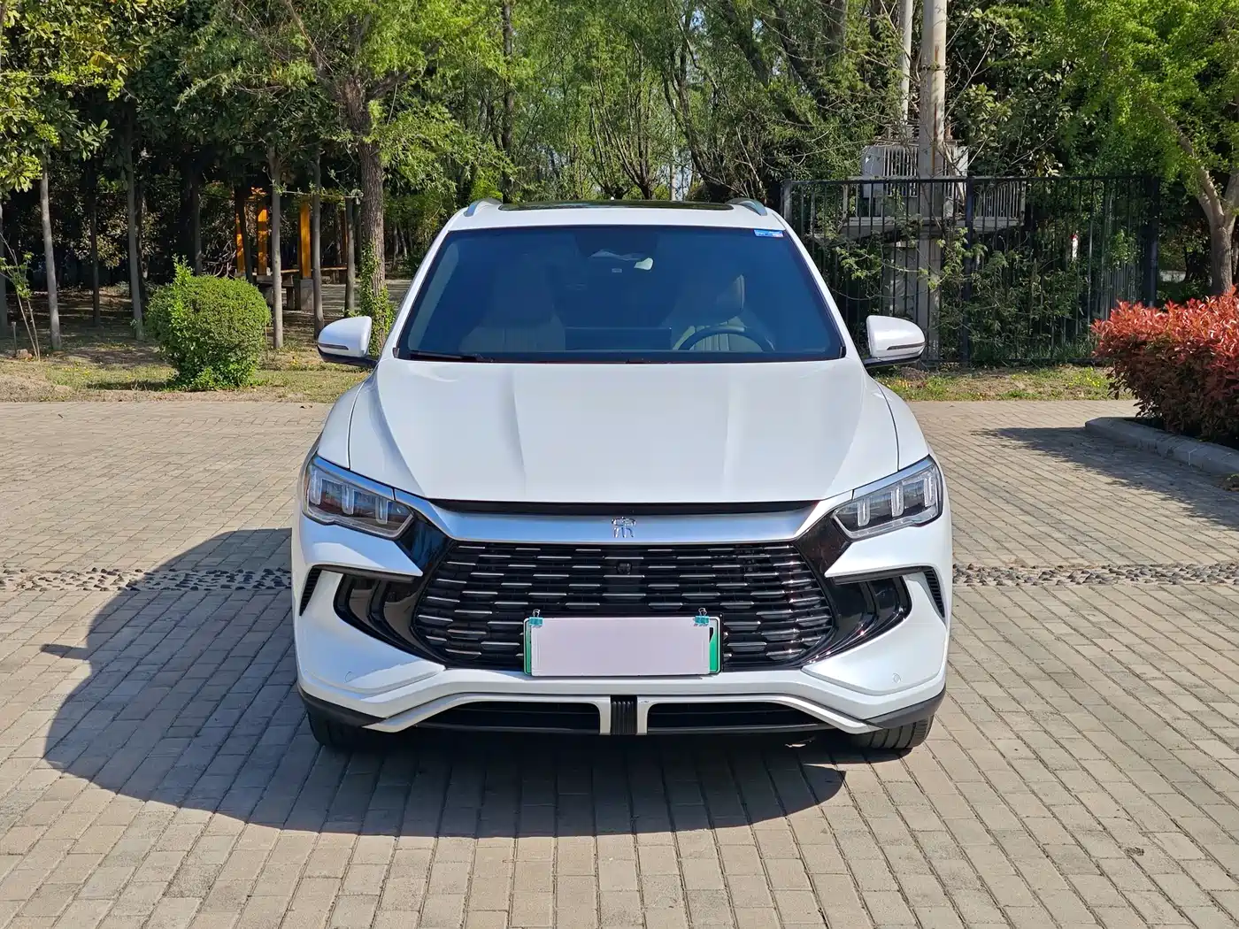 BYD SONGJIANG NEW ENERGY