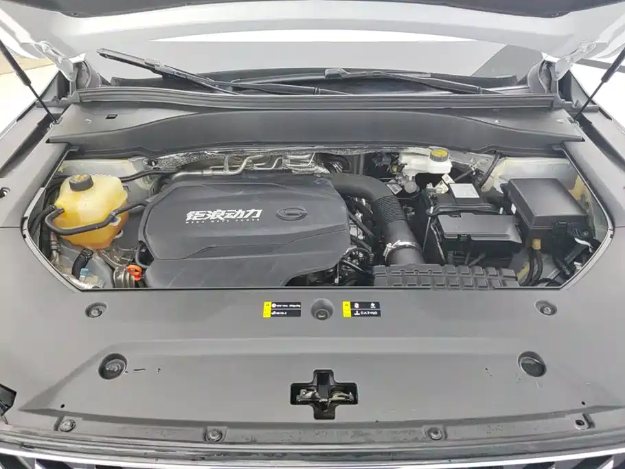  GAC Trumpchi Trumpchi GS8 2022 Pilot Series 2.0TGDI 2WD Luxury Smart Connect Edition (7-Seater) 10