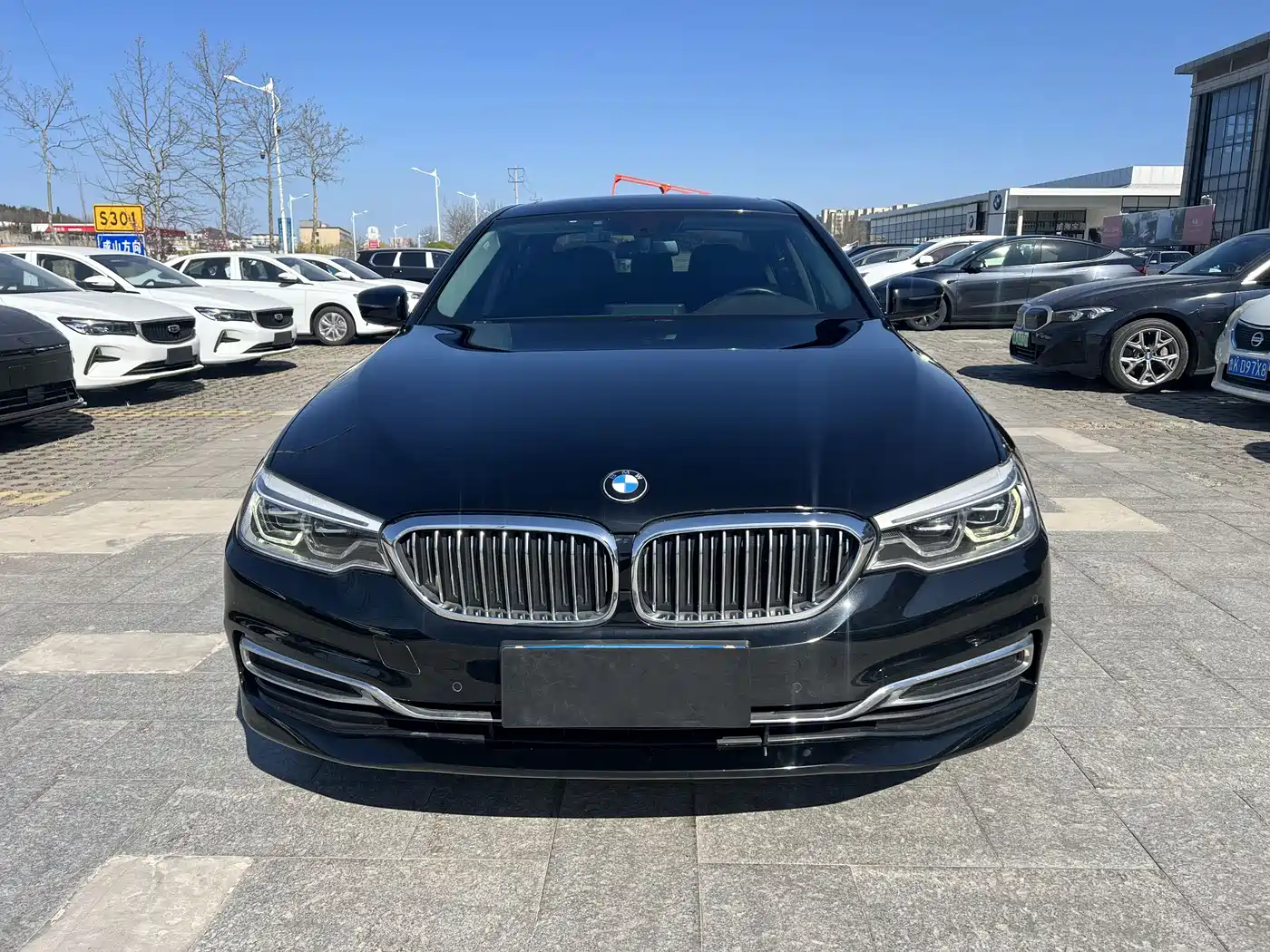 BMW 5 Series 2020 530Li xDrive Luxury Package фото 2