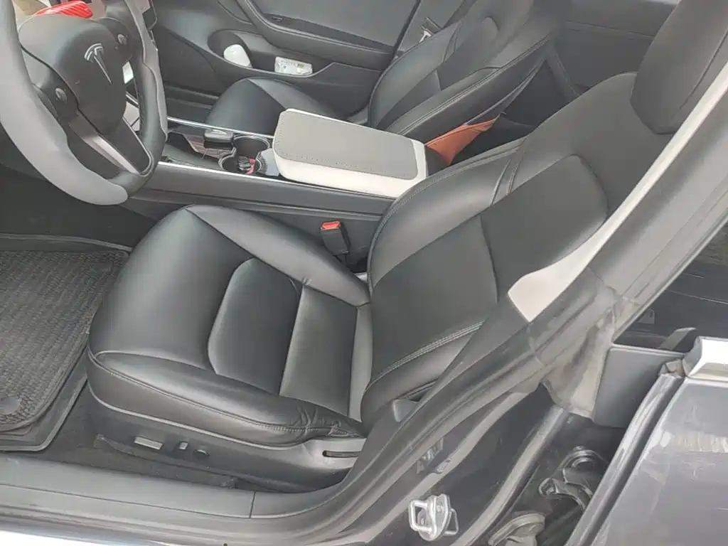 Tesla Model 3 2020 2020 Standard Range Rear-Wheel Drive Upgrade