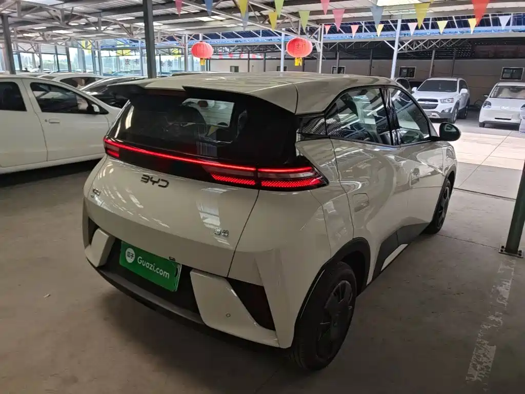 BYD Seagull 2026 2025 Smart Drive Edition 305km Vitality Version
