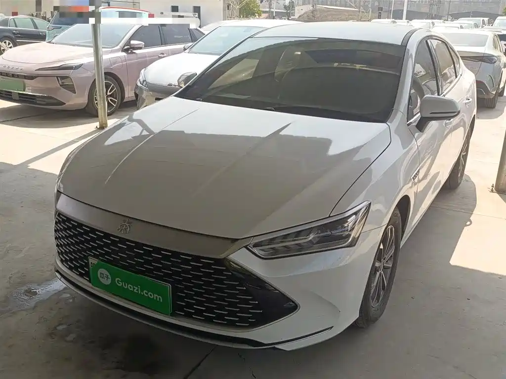 BYD Qin PLUS 2024 Glory Edition DM-i 55KM Leading