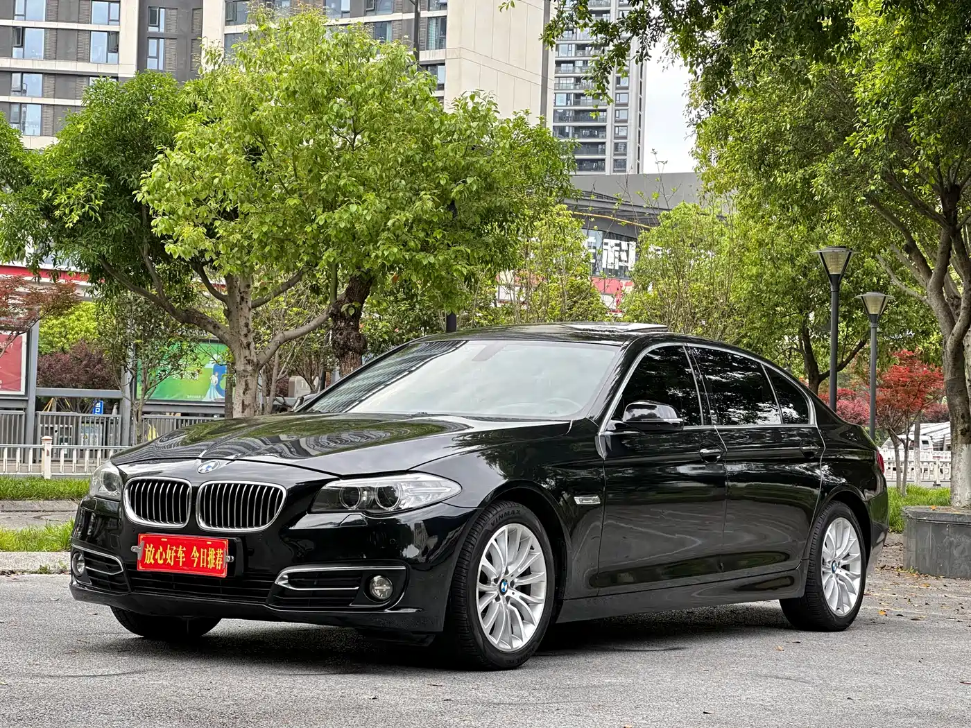 BMW 5 Series 2017 525Li Luxury Design Package фото 3