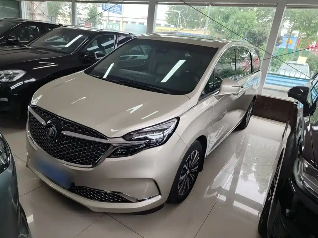 Buick GL8 2020 ES Landglory 653T Flagship фото 8