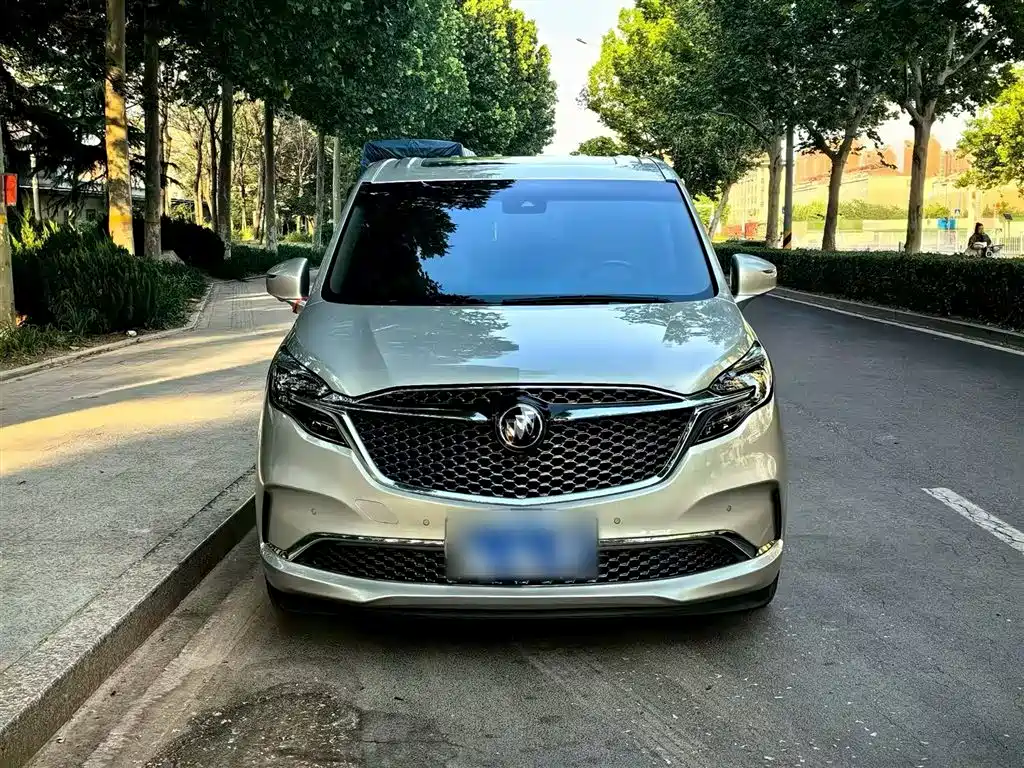 Buick GL8 2020 ES Landglory 653T Flagship фото 4