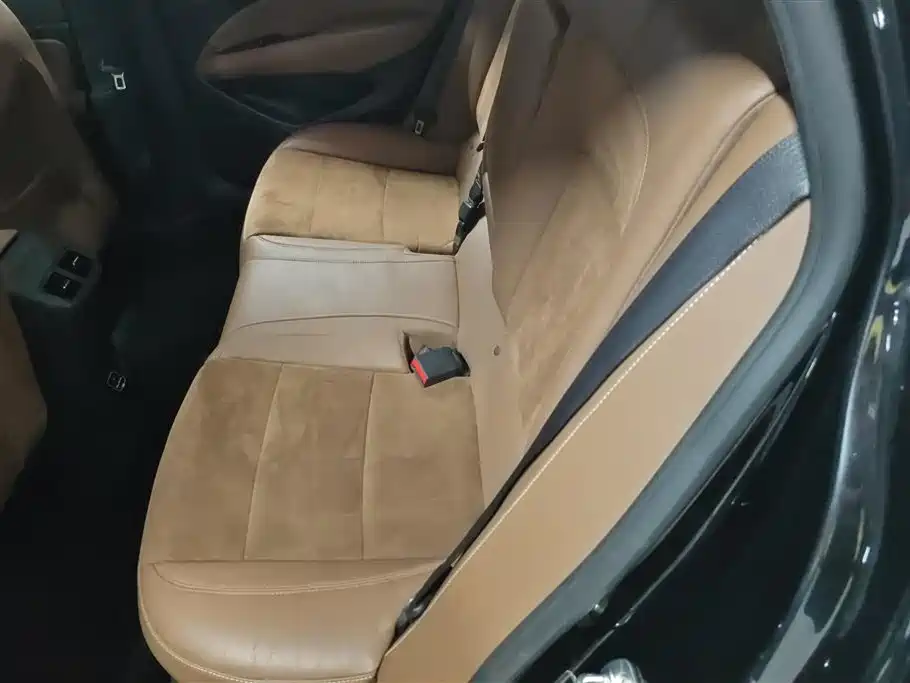 Buick Regal 2017 20T Elite Type фото 11