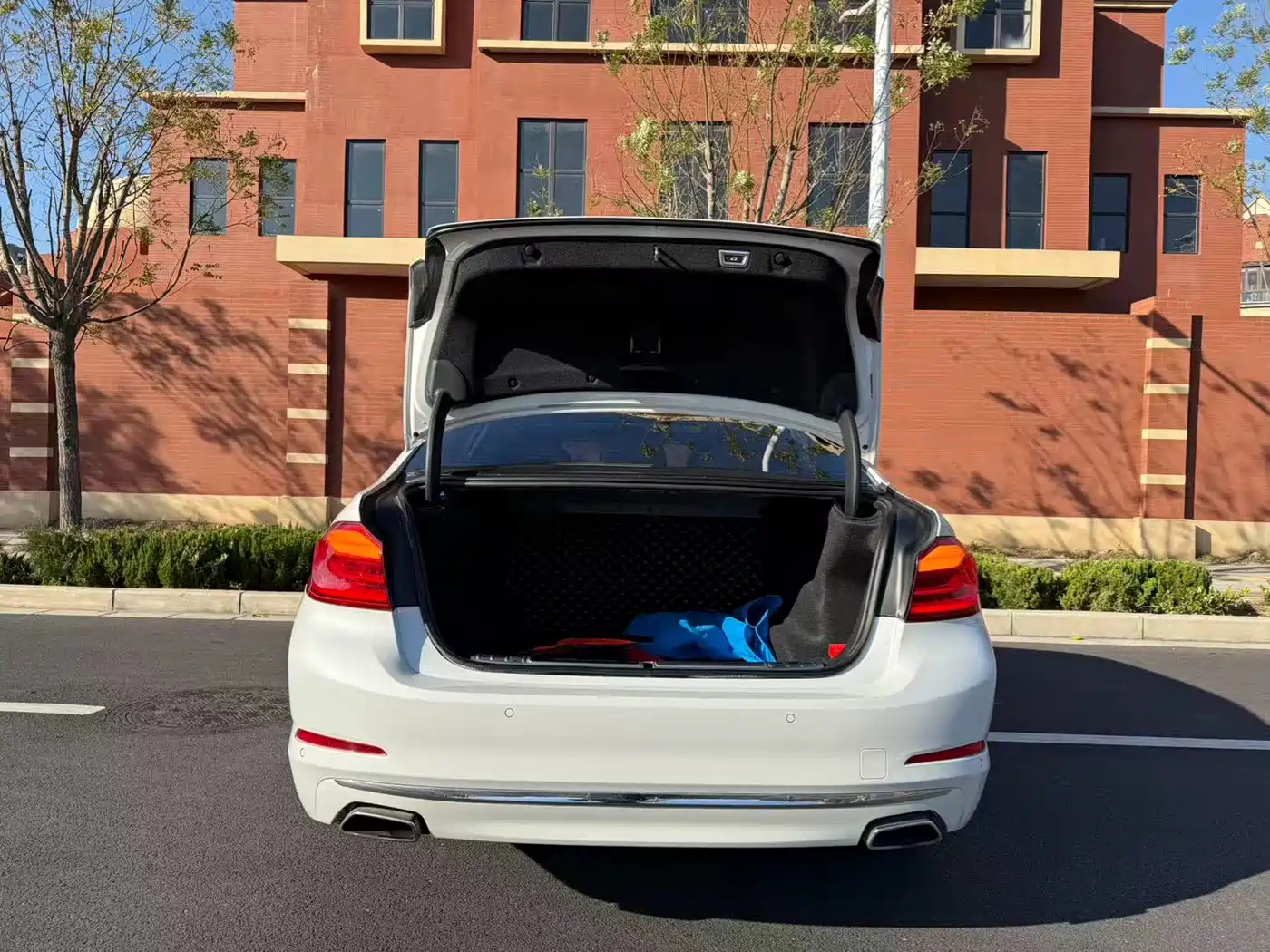 BMW 5 Series 2019 530Li Leading Luxury Package фото 17