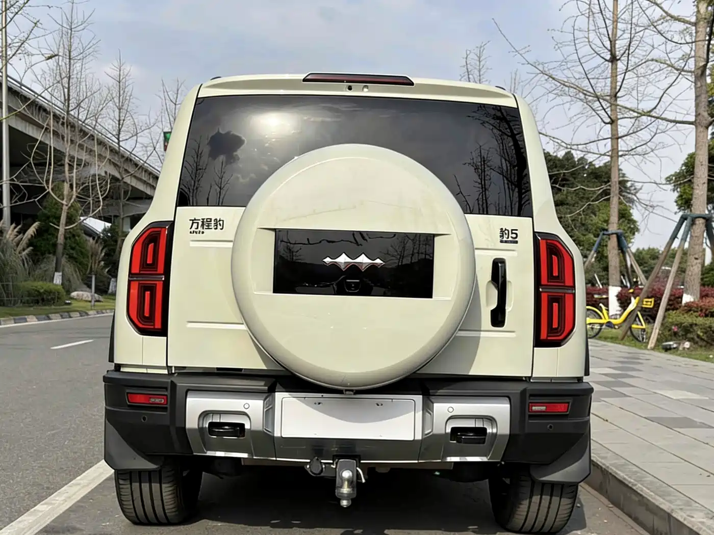 FANG CHENG BAO LEOPARD 5