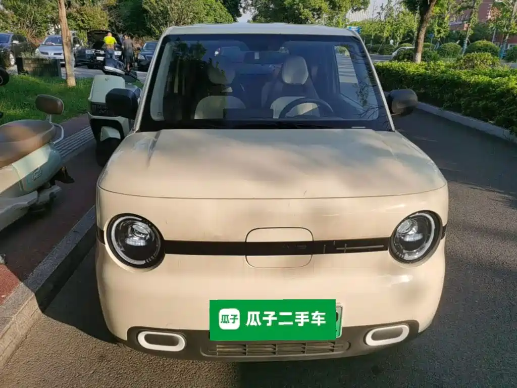 Geely Galaxy Panda 2025 2025 Panda mini 210km Vitality Bear