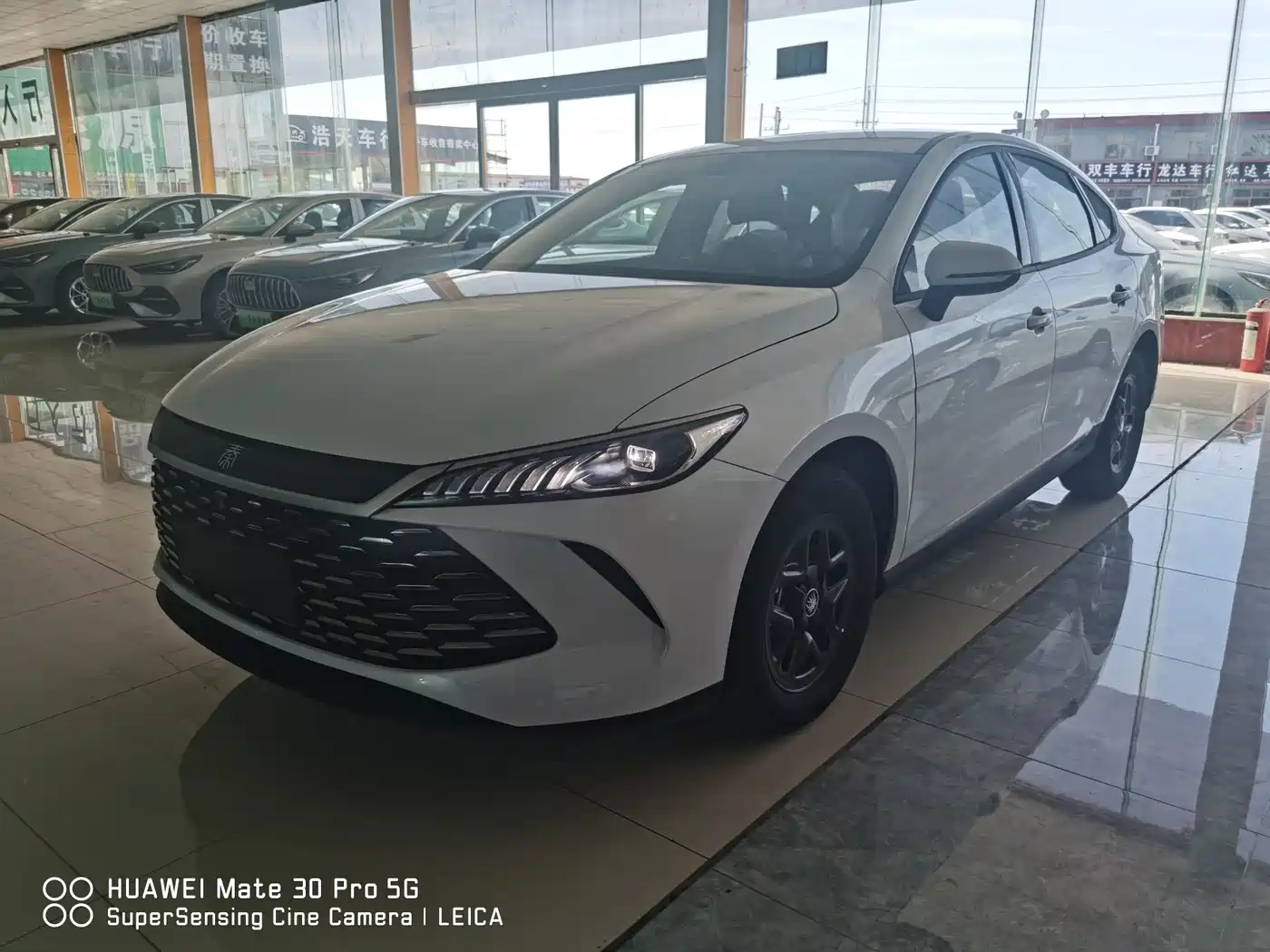 BYD Qin PLUS 2026 DM-i 128KM Progressive