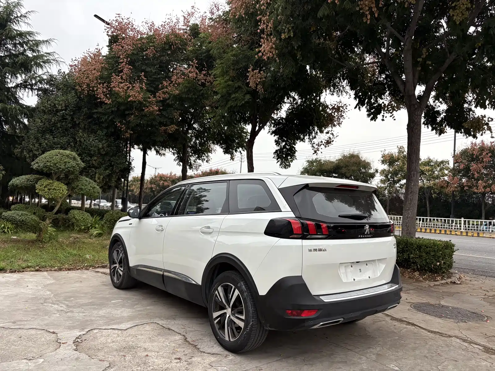 صورة 3 - Peugeot 5008