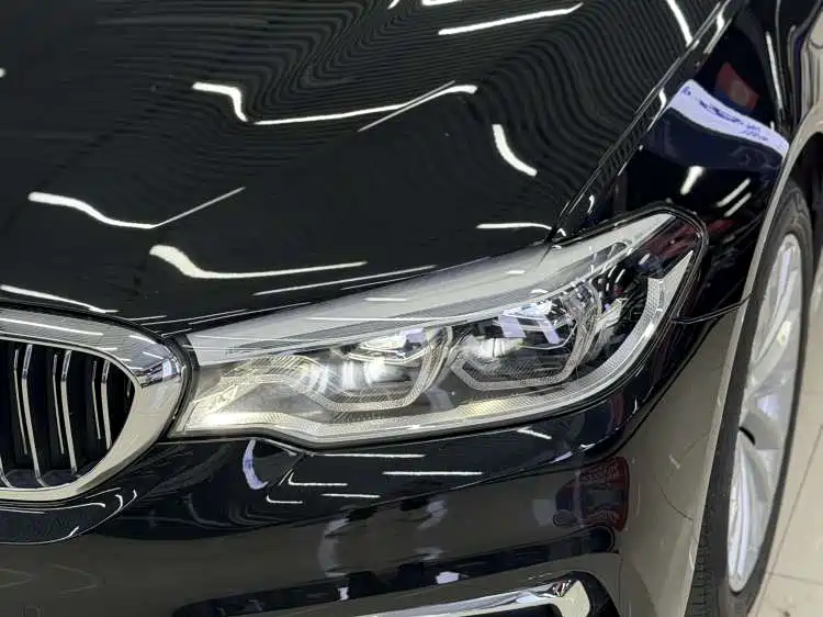 BMW 5 Series 2020 530Li Leading Luxury Package фото 7
