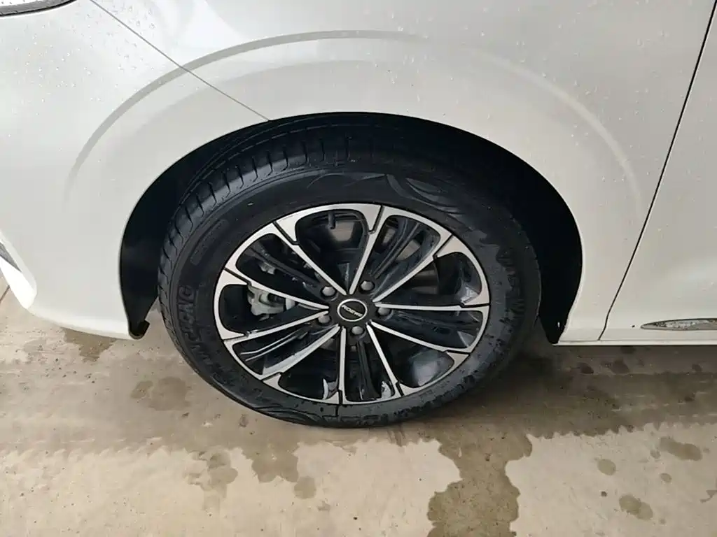 Roewe iMAX8 2024 2023 400TGI Comfort Edition