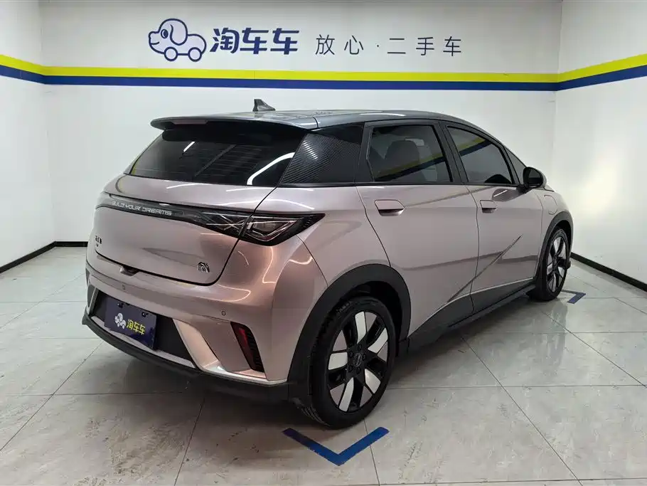 BYD Dolphin 2021 401km Knight Edition фото 3