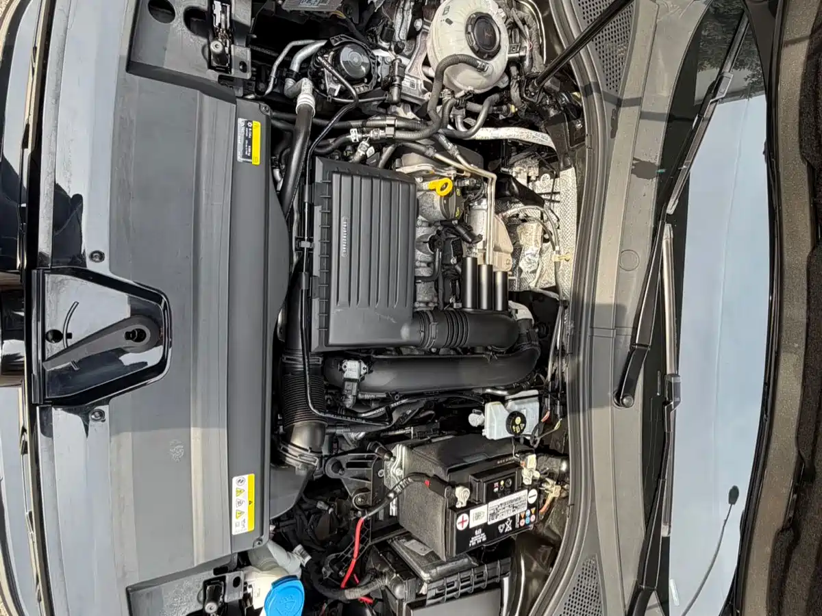 Volkswagen Tayron 2023 280TSI 2WD Luxury Plus Advanced Edition фото 22