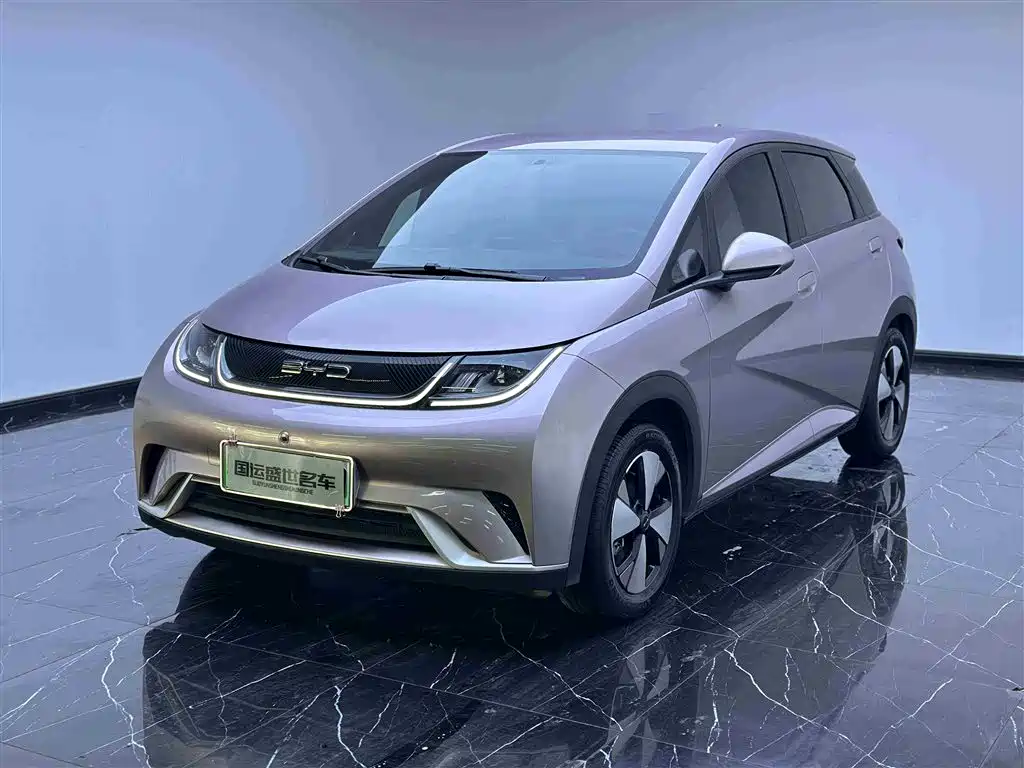 BYD Dolphin 2023 420km Freedom Edition