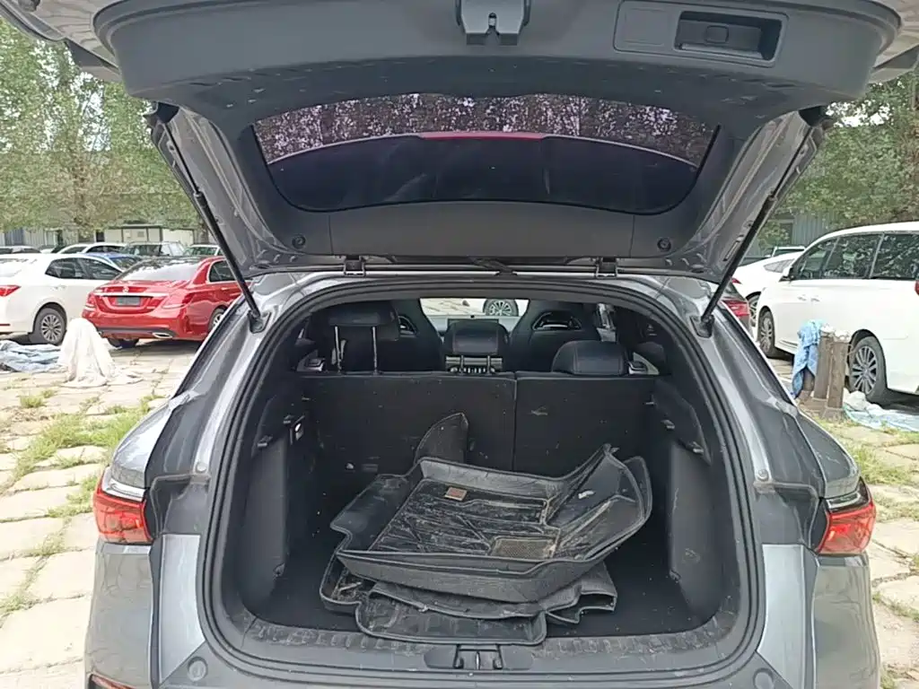 BYD Yuan PLUS 2022 2022 510KM Flagship