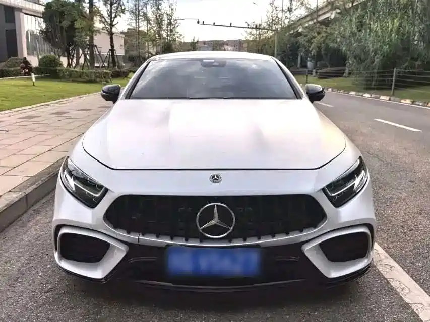 Mercedes-Benz CLS 2021 2021 CLS 300 Luxury