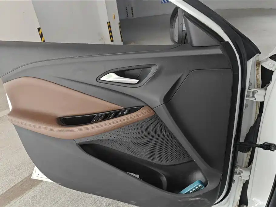 BUICK WEILANG