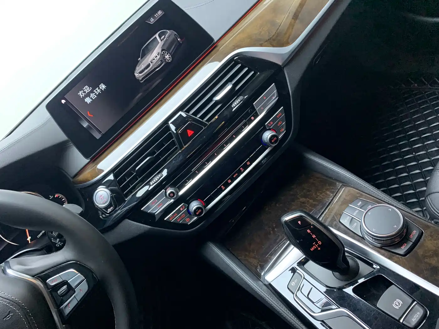 BMW 5 Series 2018 525Li Luxury Package фото 8