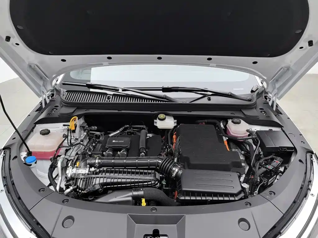 BYD Qin L 2025 2024 DM-i 80KM Superior