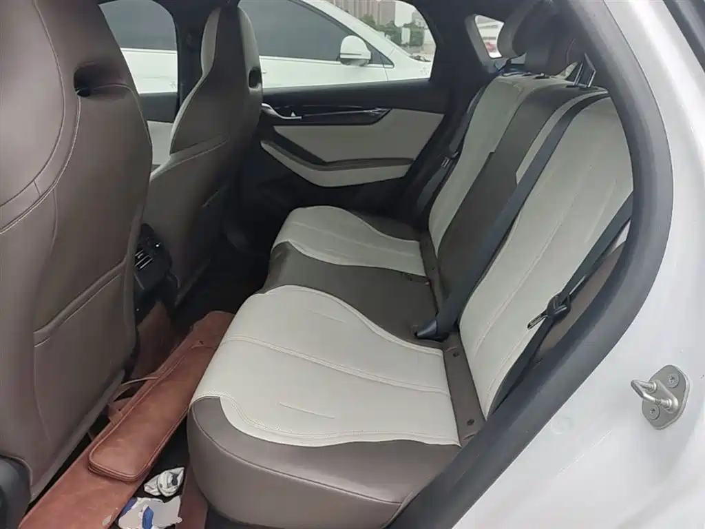 BYD Qin PLUS 2023 Champion Edition DM-i 55KM Leading фото 17