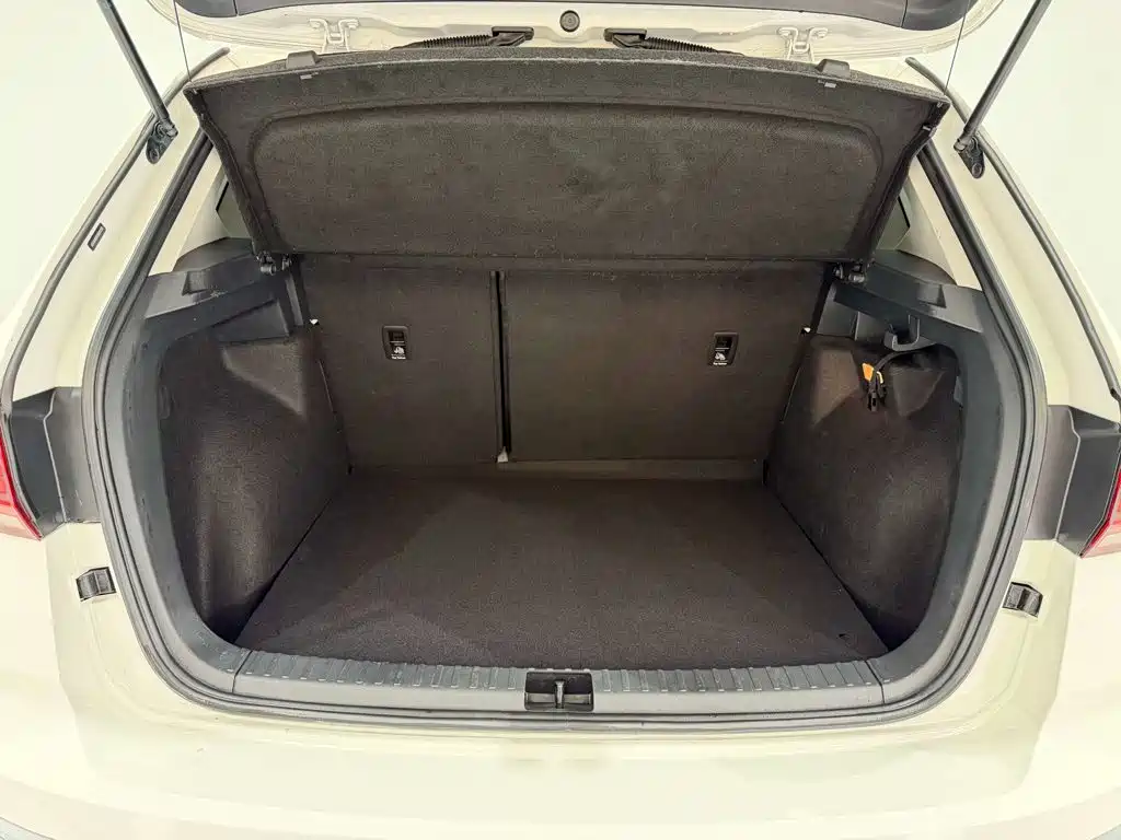 Фото 27 - Volkswagen Tharu