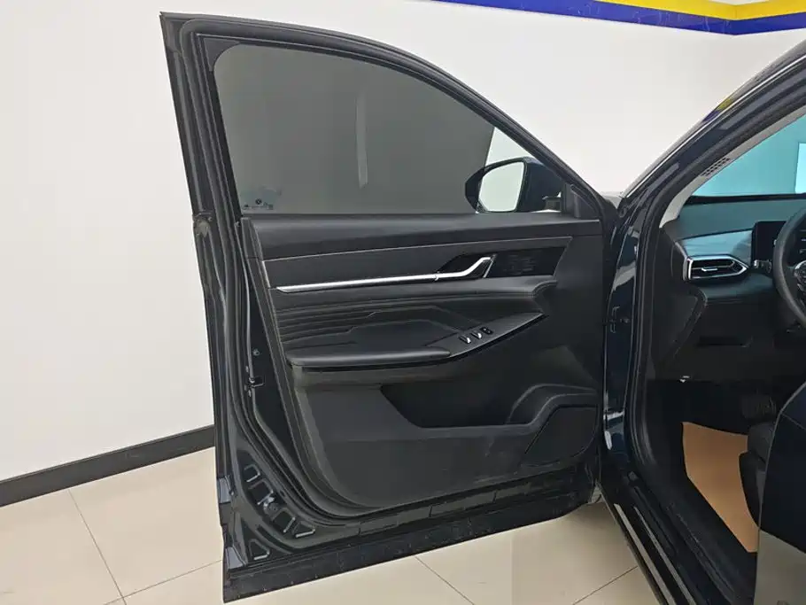 Dongfeng Aeolus Haohan 2024 2024 Glory Edition 1.5T Fashion