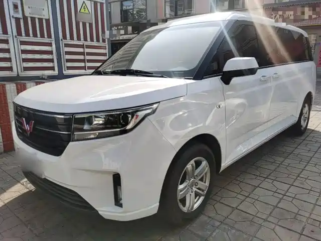  Wuling Motors Wuling Journey 2021 1.5T Manual Luxury Edition