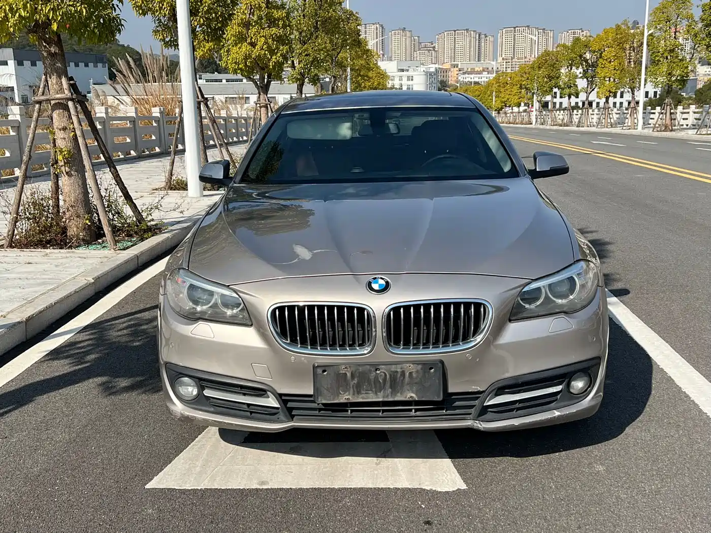 BMW 5 Series (Import) 2014 520i Classic фото 2