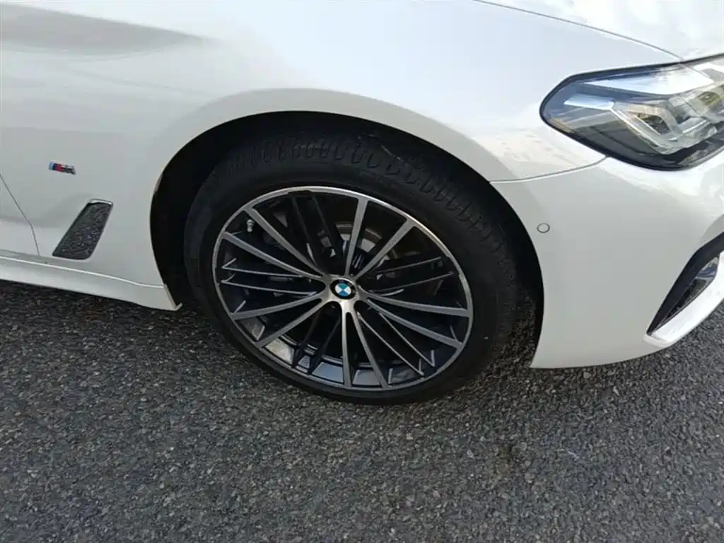 BMW 5 Series 2022 Facelift 530Li Leading M Sport Package фото 14