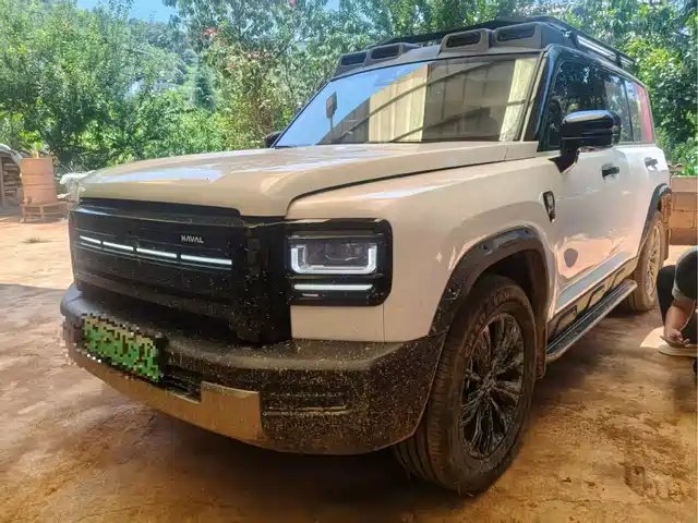  Haval Haval Meng Long NEV 2025 Model Base Version