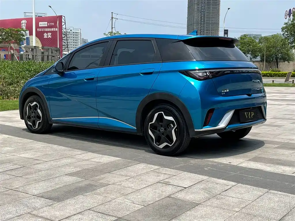 BYD Dolphin 2021 Model 405km Fashion Edition фото 7