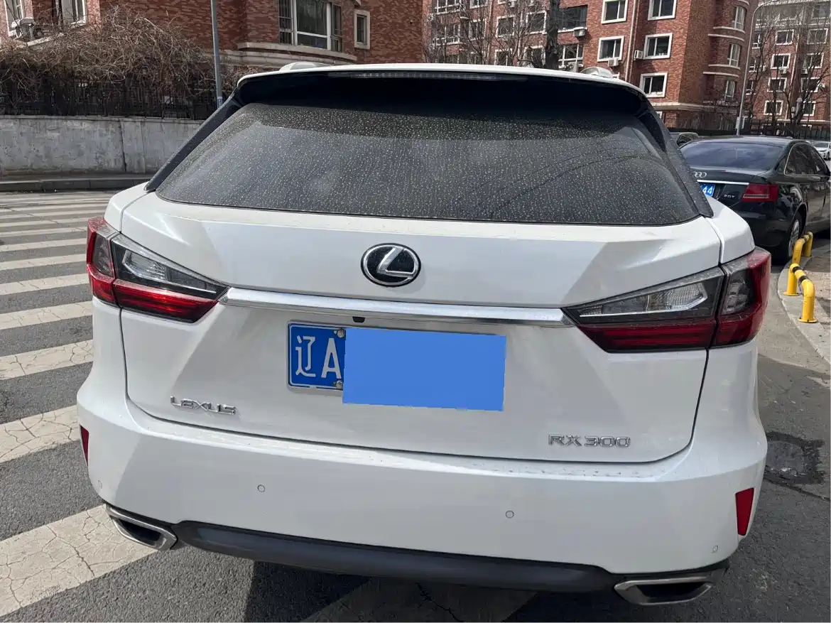 LEXUS RX