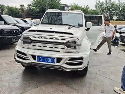Tank 300