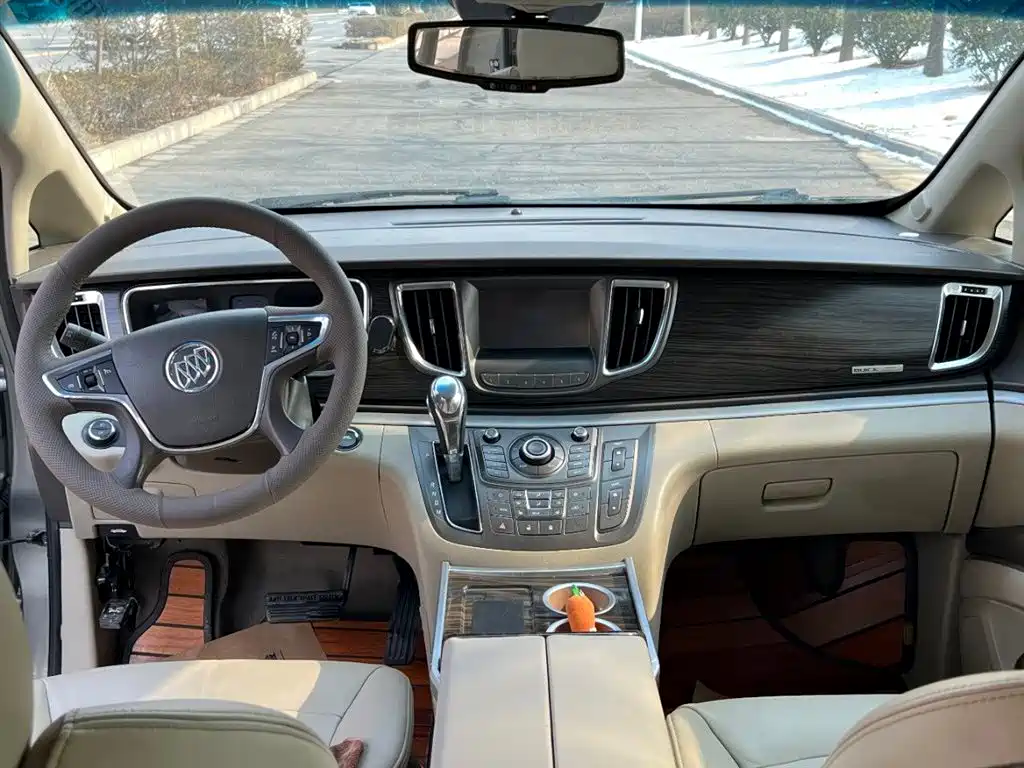 Buick GL8 2011 3.0L GT Luxury Business Elegance Edition фото 9