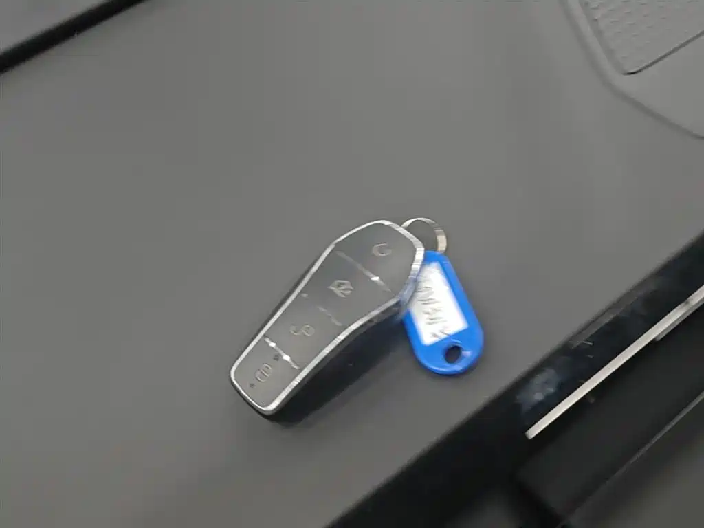 BYD Qin L 2024 DM-i 80KM Leading Edition фото 9