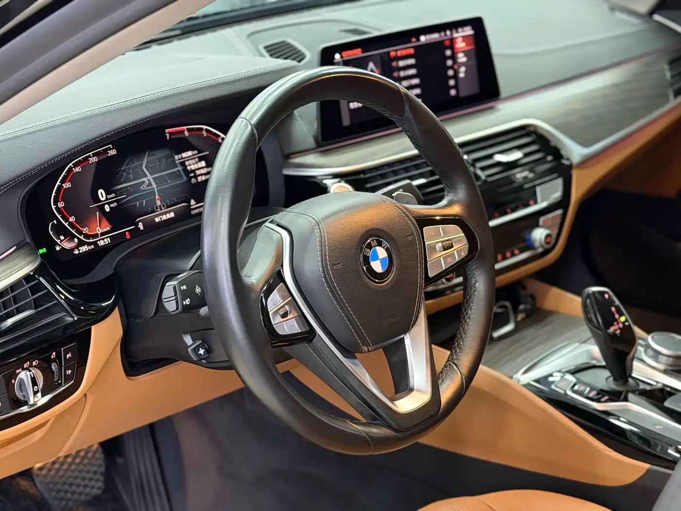 BMW 5 Series 2020 530Li Leading Luxury Package фото 10